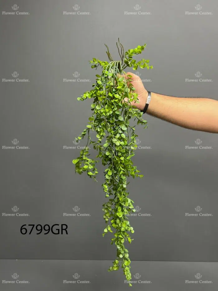 Hanging greenery – 6799