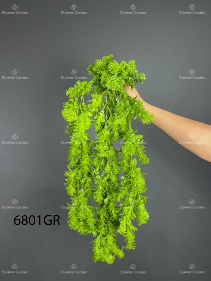 Hanging greenery – 6801