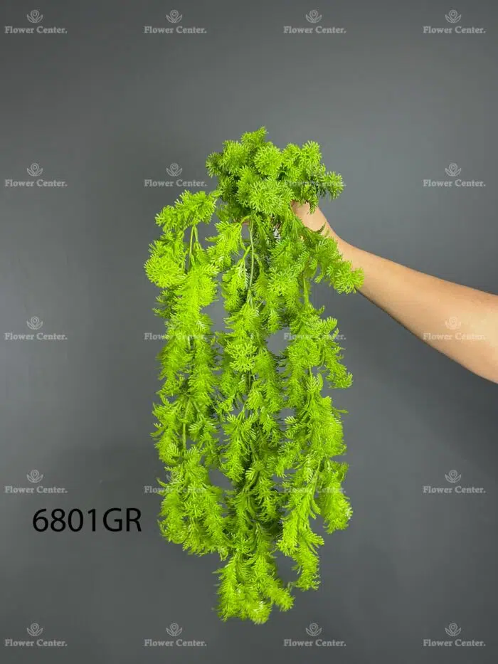 Hanging greenery – 6801