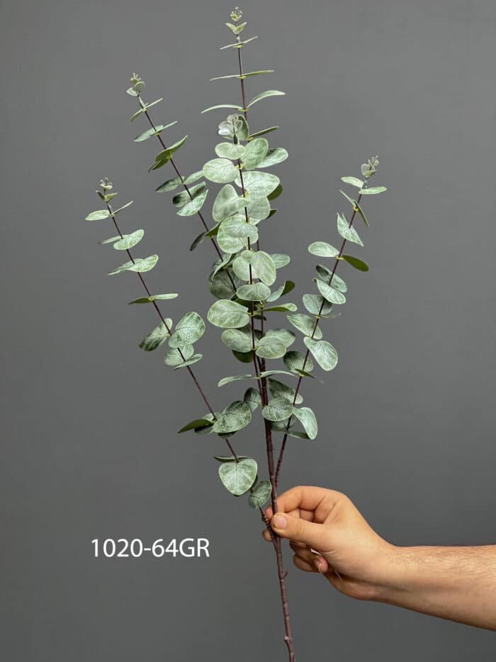 Eucalyptus – MA1020-64GR