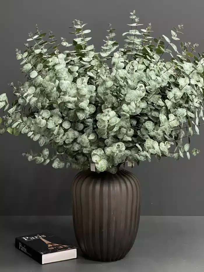 Eucalyptus – MA1020-64GR