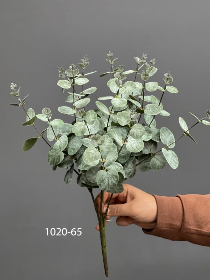 Eucalyptus – MA1020-65