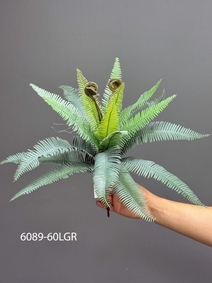 Fern – MA6089-60LGR