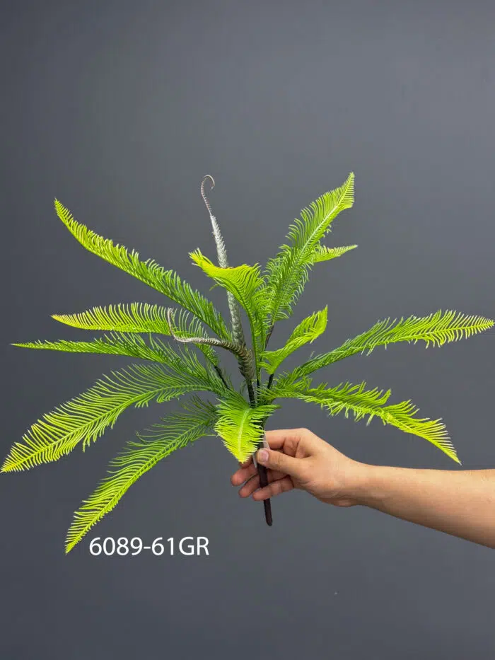 Fern – MA6089-61GR
