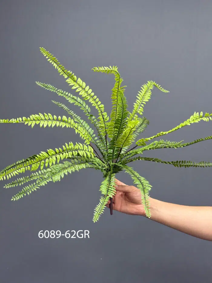 Fern – MA6089-62GR
