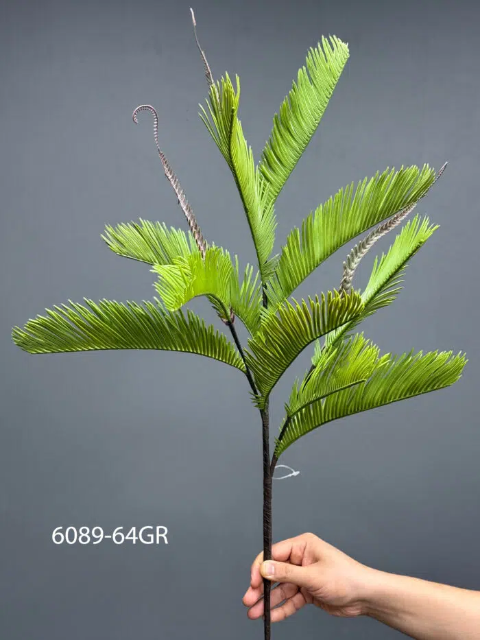 Fern – MA6089-64GR