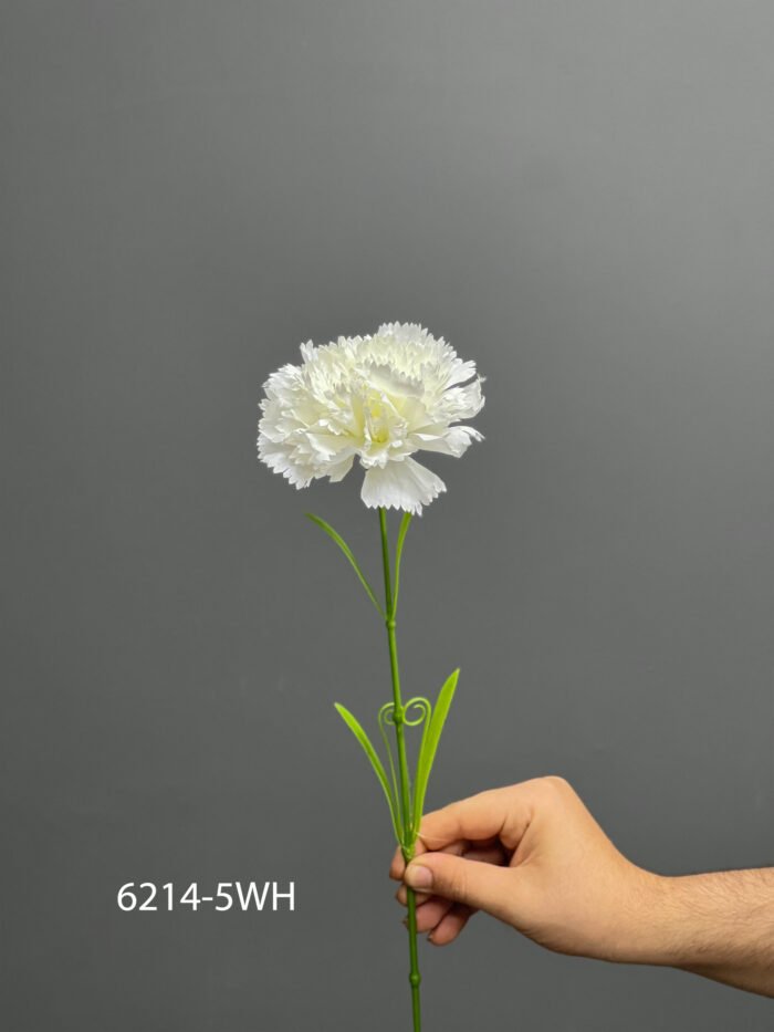 Carnation – MA6214-5WH