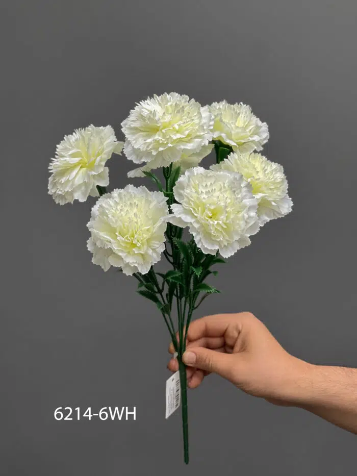 Carnation – MA6214-6WH