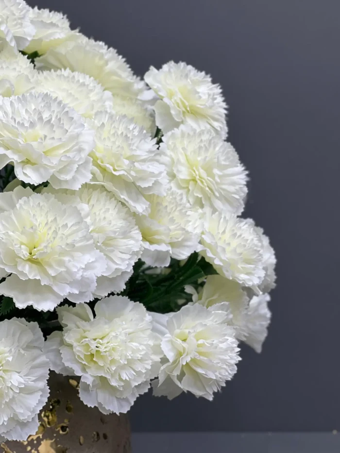 Carnation – MA6214-6WH