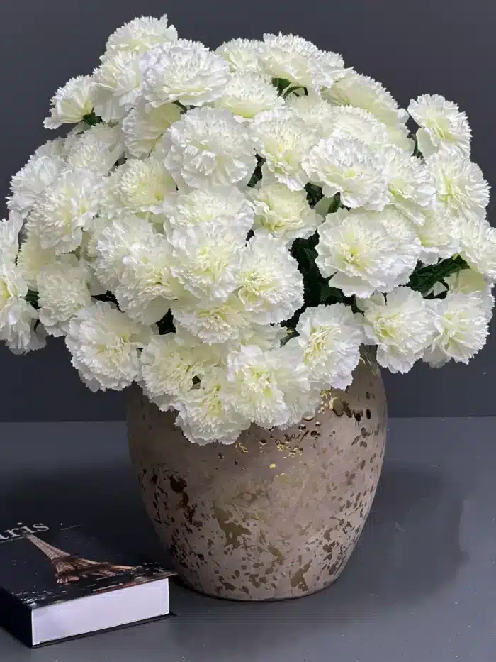 Carnation – MA6214-6WH