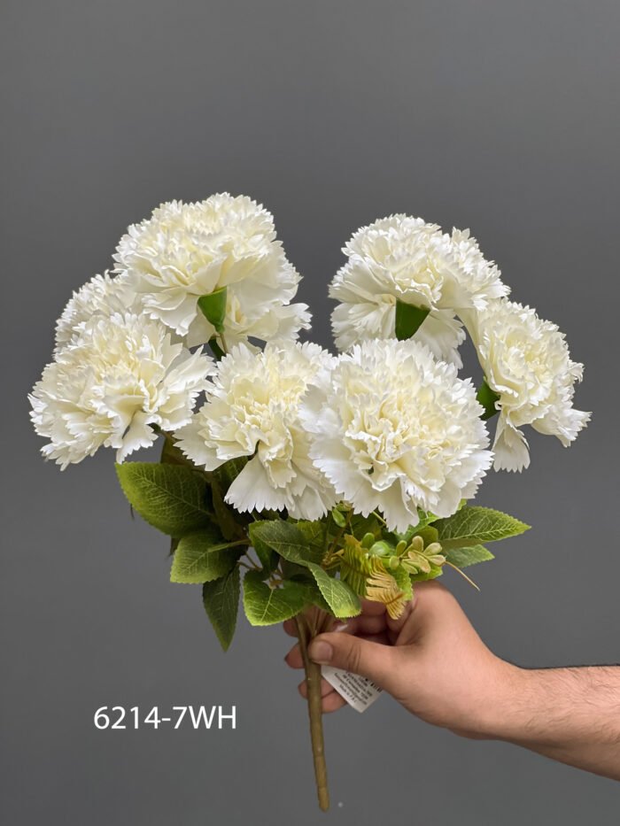 Carnation – MA6214-7WH