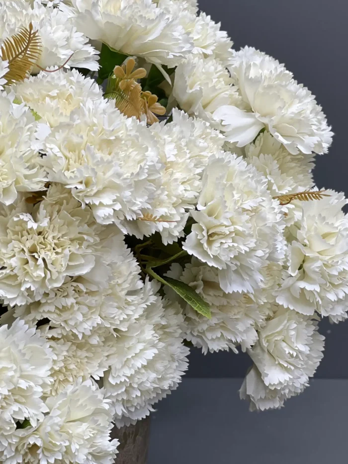 Carnation – MA6214-7WH