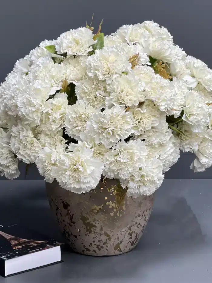 Carnation – MA6214-7WH