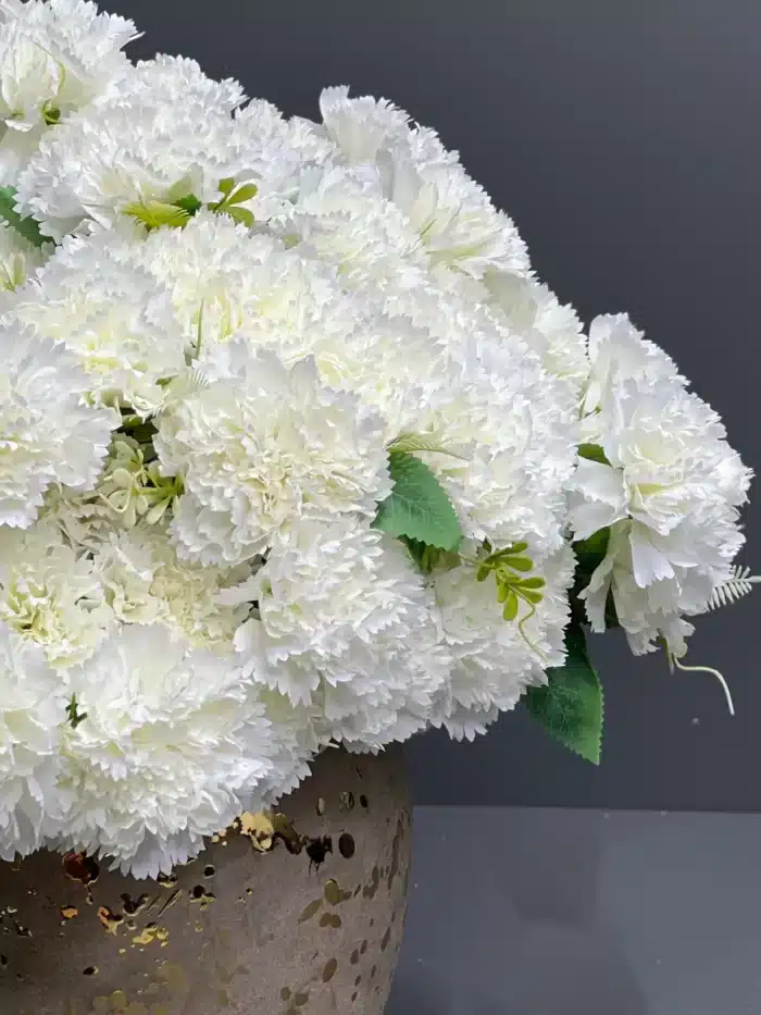 Carnation – MA6214-8WH