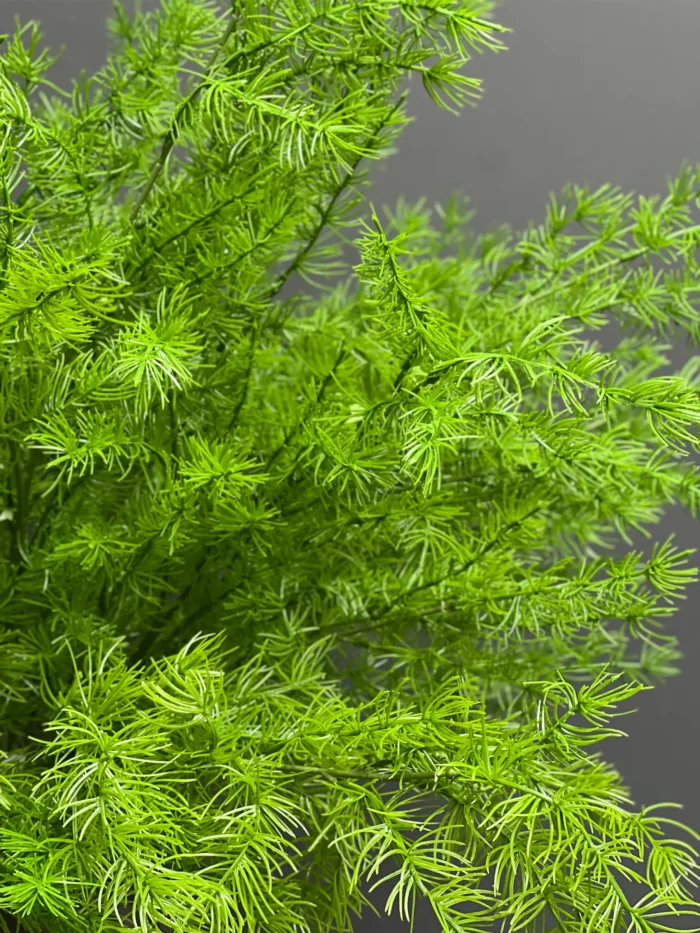 Greenery Branch – MA6765GR