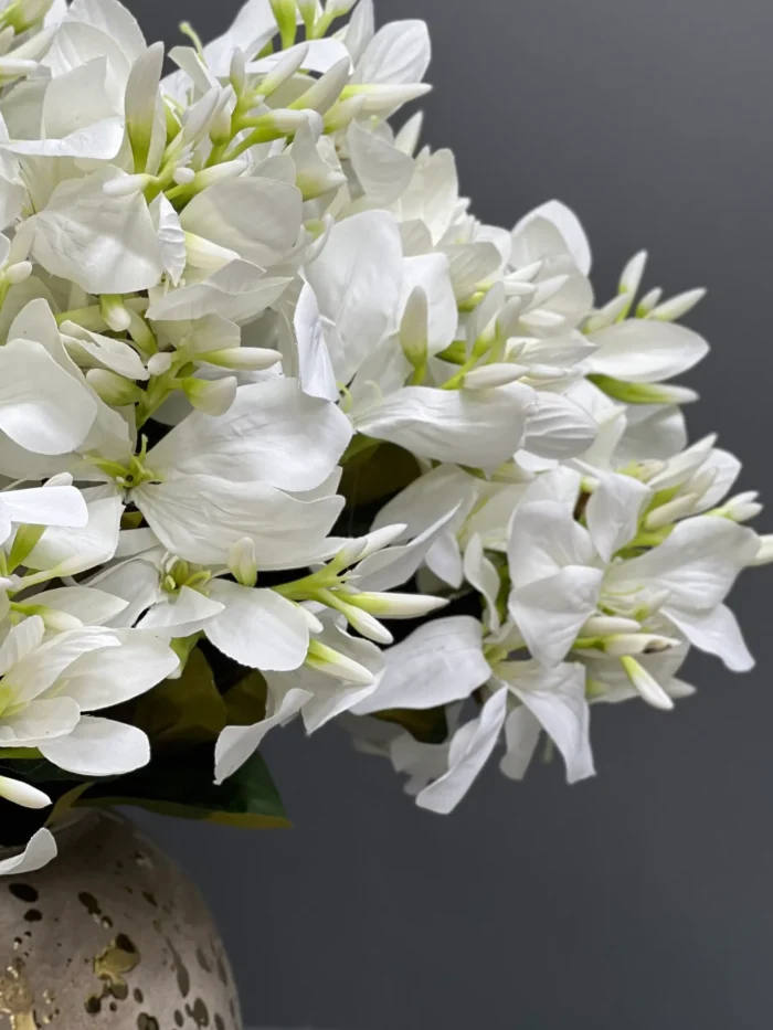 Lily bunches – MA6805WH
