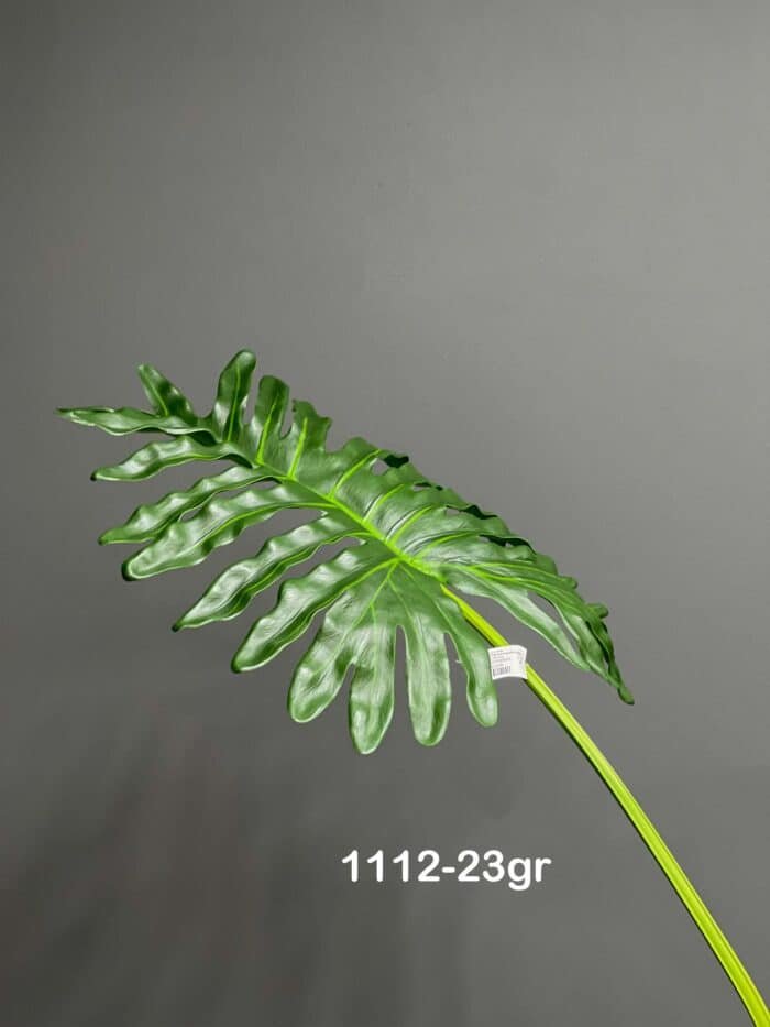 Monstera – 1112-23