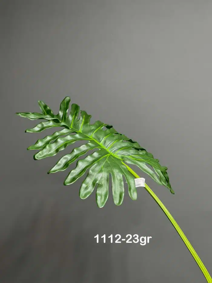 Monstera – 1112-23