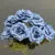 1255-96 Blue