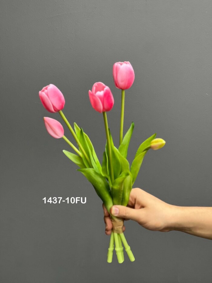5pcs tulip bundle – 1437-10FU