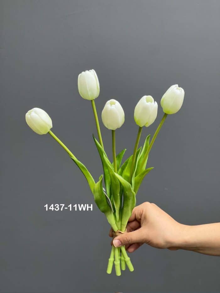 5pcs tulip bundle 1437-11