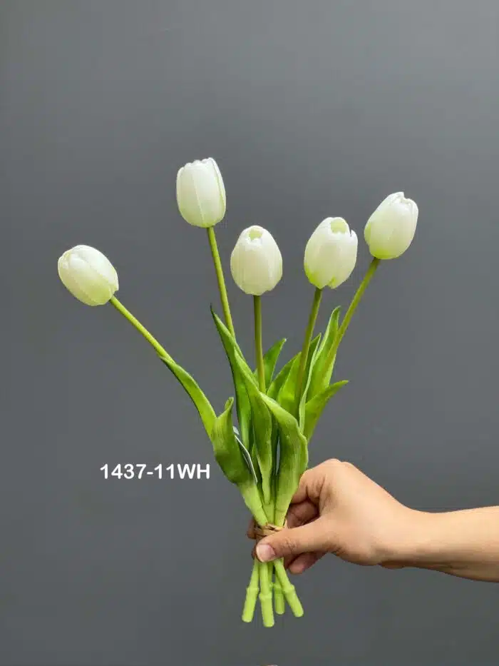 5pcs tulip bundle 1437-11