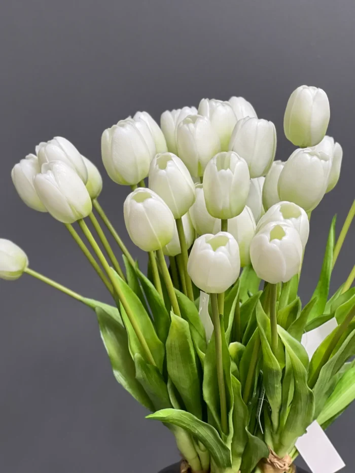 5pcs tulip bundle 1437-11
