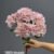 1893-4 Peach Pink