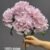 1893-4 Dark Pink