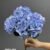 1893-4 Light Blue