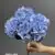 1893-4 Light Blue