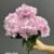 1893-4 Light Pink