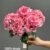 1893-4 Navy Pink