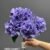 1893-4 Purple 17