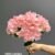 1893-4 White Light Pink