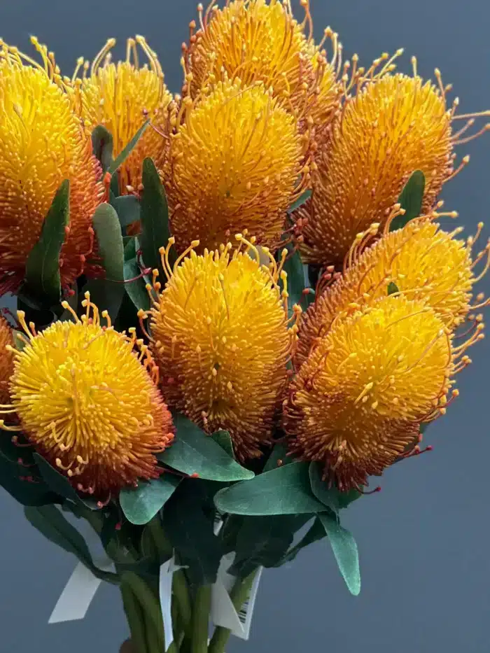 Protea Single – 4505-5