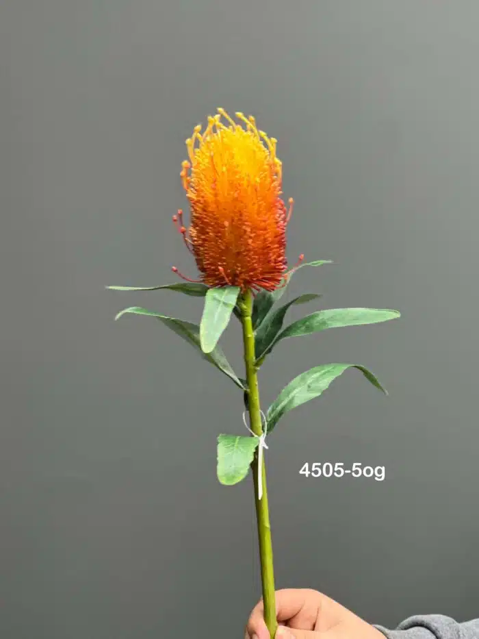 Protea Single – 4505-5