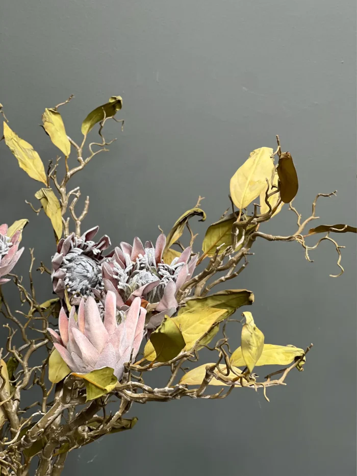 Protea – 4505-7