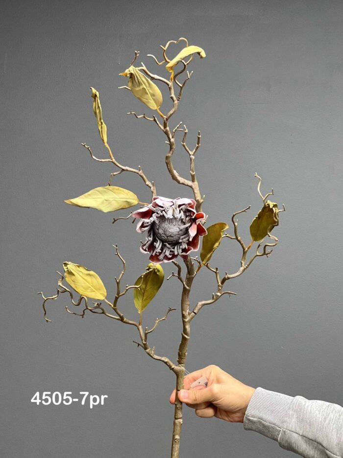 Protea – 4505-7