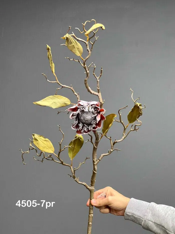 Protea – 4505-7