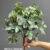 4913-c-34 Green White