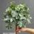 4913-c-34 Green White