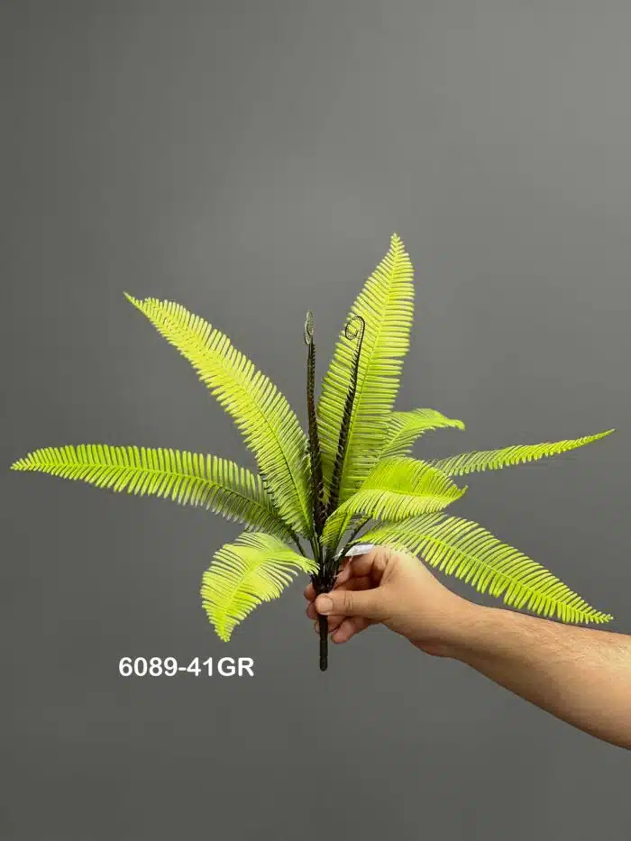 Fern leave – 6089-41