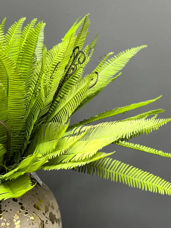 Fern leave – 6089-41