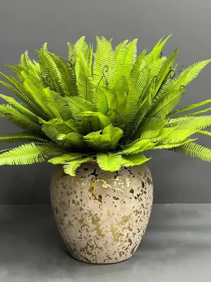 Fern leave – 6089-41