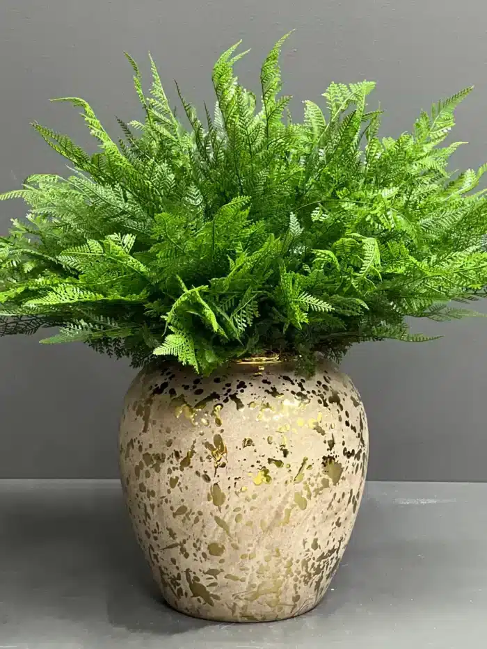 Fern leave – 6089-42