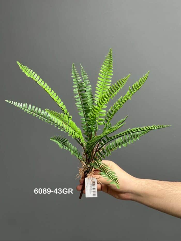 Fern leave – 6089-43