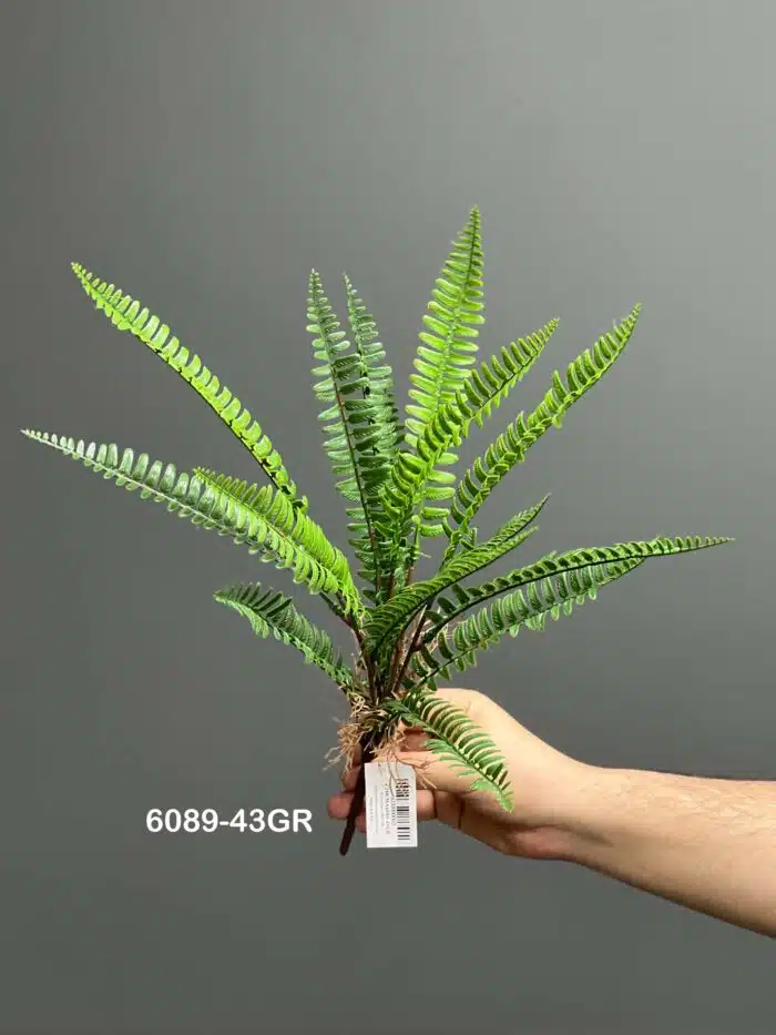 Fern leave – 6089-43