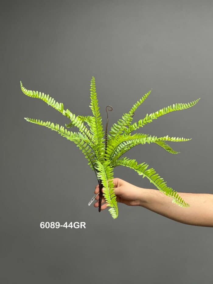 Fern leave – 6089-44
