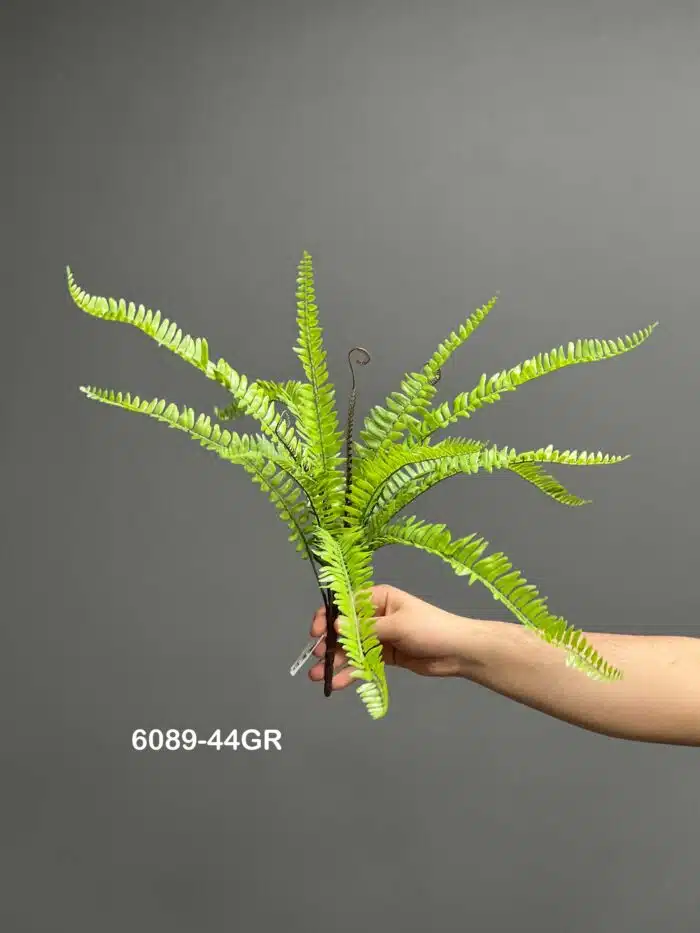 Fern leave – 6089-44